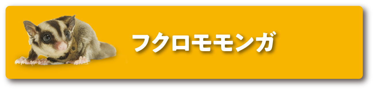 フクロモモンガ